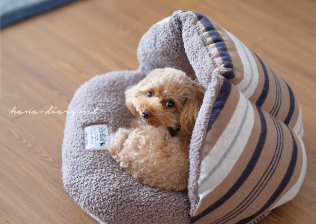ラディカ・犬の冬用ベッド