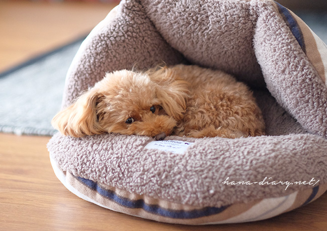 ラディカ・犬の冬用ベッド