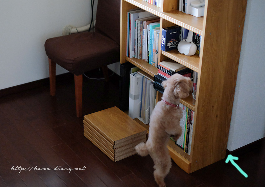 地震のあとの 本と本棚の断捨離 40代アラフィフミニマリスト主婦のシンプルライフブログ