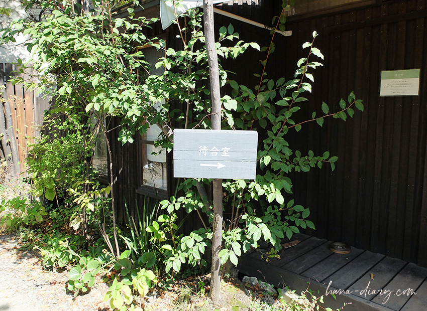 石村由起子さん・くるみの木（奈良おすすめランチ＆カフェ）
